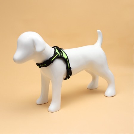 Cloll improved K7 soft reflective, size m, og 52-66 cm, weight 9.5-17.5 kg, green-1