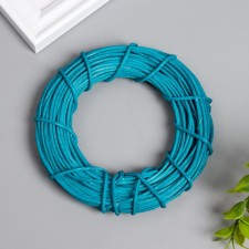 Ring Roadan for manufacturing the Sninnaya Dreams Catter D = 10 cm