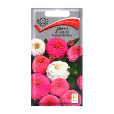 Zinnia seeds are graceful 