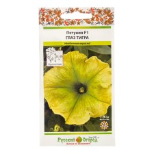 Flowers of Petunia 