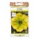 Flowers of Petunia "Eye Tiger", F1, 10 pcs