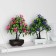 Bonsai in the pot "bright tree" 10x20 cm, mix