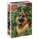 Puzzle "Faithful Friend", 1000 elements