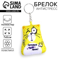 Antistress keychain 