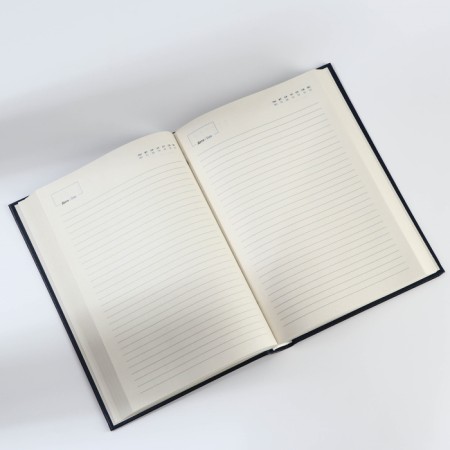 Deliciper of Leduced A5, 160 liters. Solid cover. Leatherette. Blue. Cream block-6