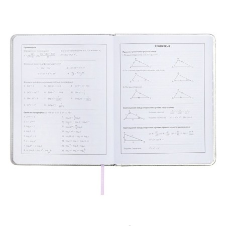 School diary for grades 1-11 "cat", firm covering with foam, artificial leather, application, foil embossing, liesse, 48 sheets, universal cheat sheet, block 80g/m2-10