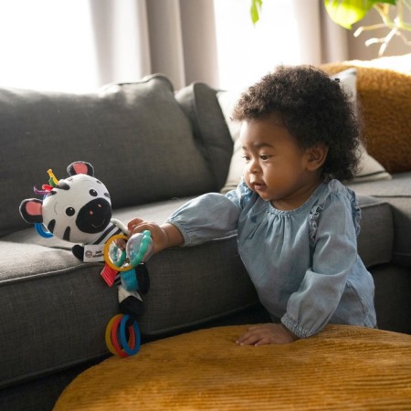 Suspended toy Baby Einstein "Zebra"-6