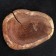 SPIL-DOSKA TORTSEVA "Oak", 25-30 x 3 cm