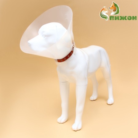 Veterinary collar with a mount on a collar, height 20 cm (without a collar)