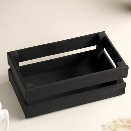 Wooden Kashpo 24.5 × 13.5 × 9 cm "Two Light", two -string, black give beautifully-3