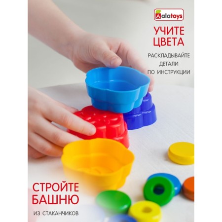 Sorter with tweezers "Cups"-2