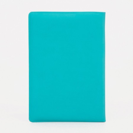 Cover for passport, blue color-2