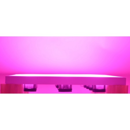 Suspended LED lamp for GUSOBOBOKS "Izis" 500W-4
