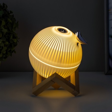 Night with a humidifier ball LED USB AKB White 12x12x11.5 cm Risalux-4
