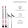 Ski kit: plastic skis 180 cm with a notch, fiberglass sticks 140 cm, fasteners NN75 mm