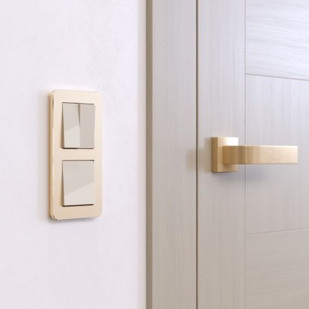Frame W0022611, 2 Platinum sockets, champagne-2