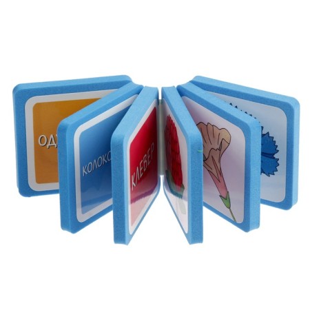 Mini-book. What is growing here? Set of 4 books-4