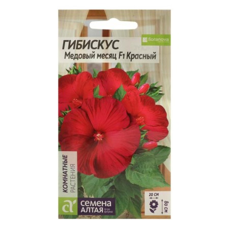 Flower seeds of hibiscus "honeymoon", red, 3 pcs.