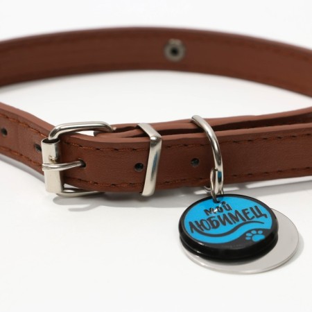 Dog collar "My favorite" with an addressee, Osh 27-34 cm-3