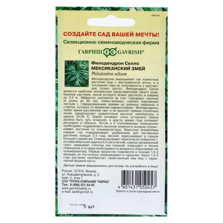 Seeds of indoor flowers Filodendron Sello "Mexican Serpent", 5 pcs.-1