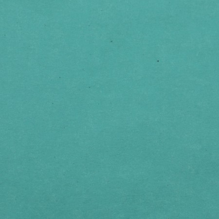 Floristic parchment "Tiffany", 0.6 x 10 m, 52 g/m2-2
