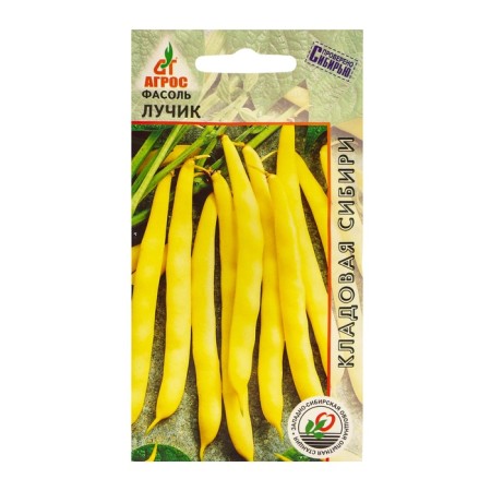Seeds of beans "Ray" 8g* ks