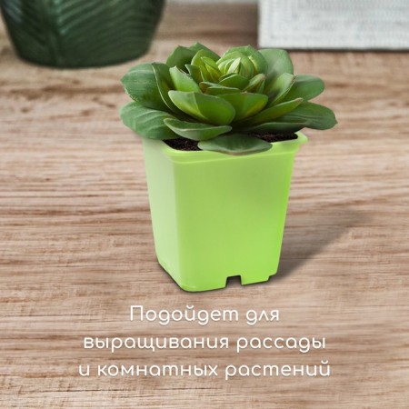 Pot for seedlings, 250 ml, d = 7 cm, h = 8 cm, mix-2