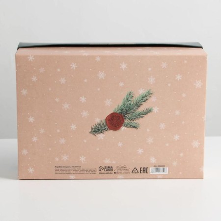 Folding “Parcel” box, 30 x 20 x 9 cm, new year-3