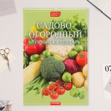 The calendar of the cross -out on the Rigel A3 