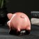 Piggy bank "Piggy" 9x10x7cm