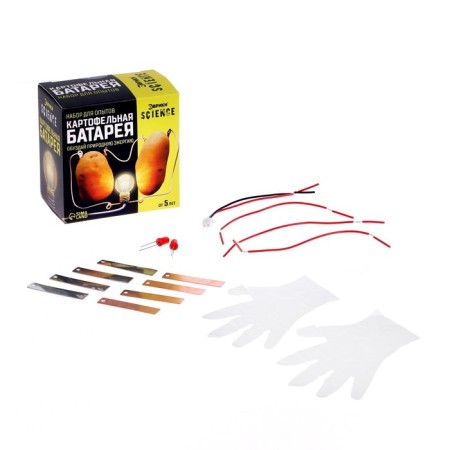 Set for experiments "Potato Battery"-5