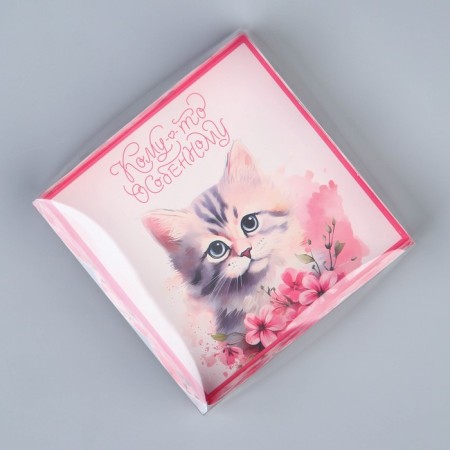 Cookie box, confectionery packaging with PVC lid, “kitten”, 10.5 x 10.5 x 3 cm-2
