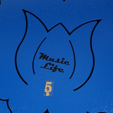 Musical instrument glucophone, blue, 13 petals, 30 cm-4