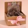 Soft toy "Princess Marta", cat, 25 cm