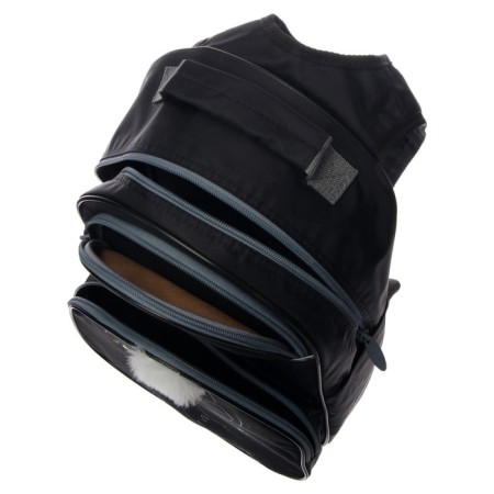 School backpack, 37 x 26 x 13 cm, ergonomic back, calligrata Ac-9