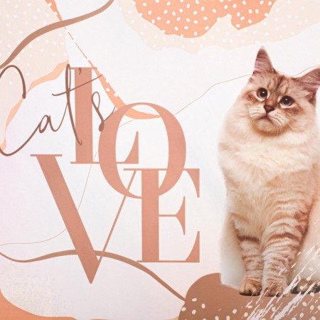 Cat’s Love rug for a bowl, 43x28 ​​cm-3