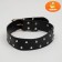 The riveted collar in 2 rows, 63.5 x 3.8 cm, black