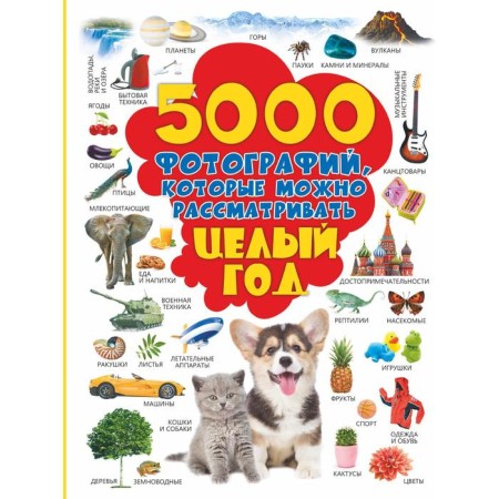 5000 photos that can be considered for a whole year. Dolmanskaya L.V.