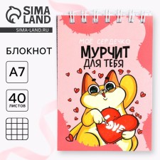 Блокноты в мягкой обложке А7, 40 л на гребне «Мурчит для тебя»