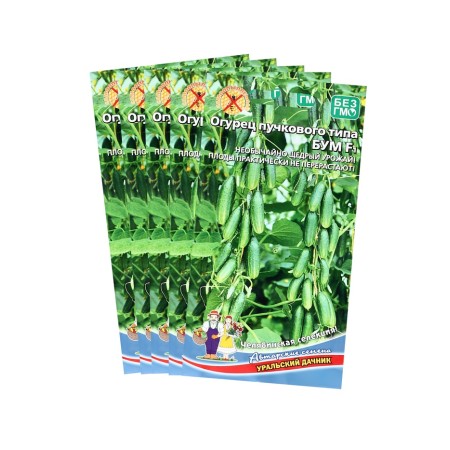 Cucumber seeds "BOM", F1, set 5 pcs