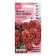Viola flowers "Waterfall Scardet with a spot" for a flowerpot, 5 pcs