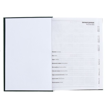 The diary is half -dantered for 4 years A5, 192 sheets, the cover of the boumvinyl, green-3