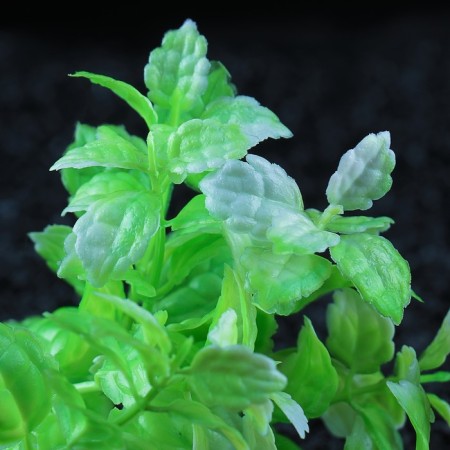 The artificial aquarium bush, 10 cm, green-2