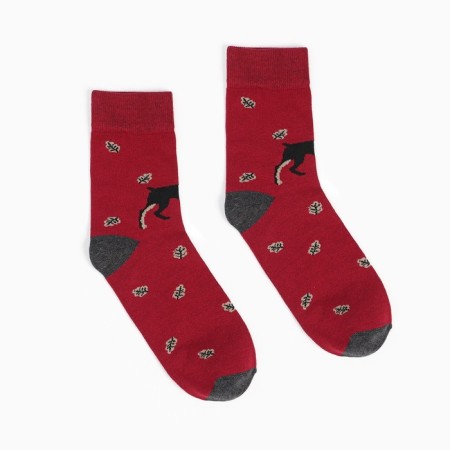 Male socks (2 pairs), burgundy/black color, size 44-45-2