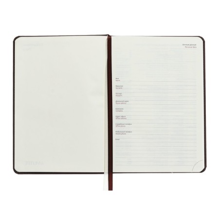 Leduced A5 Diary, 160 sheets, Devente.emblem, firm cover of artificial leather with foam, lies, block 70 g/m2, brown-2
