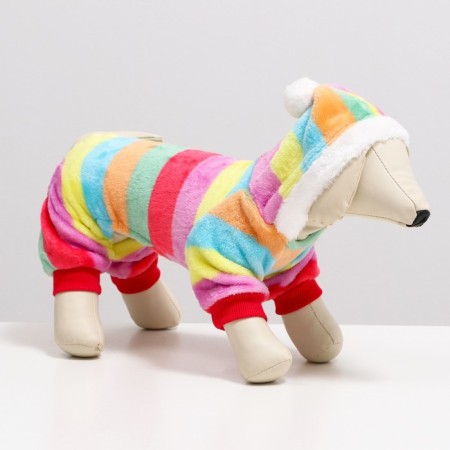 Combineson "Rainbow" with a hood, size L (DS 35 cm, og 45 cm, Osh 35 cm)-1