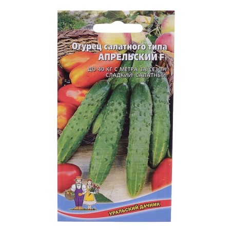Cucumber April F1, early -grown, parthenocarpic, 10pcs-2