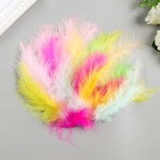 Decorative ostrich feathers, 10-12 cm (set 24 pcs) 6 colors, pastel, assorted