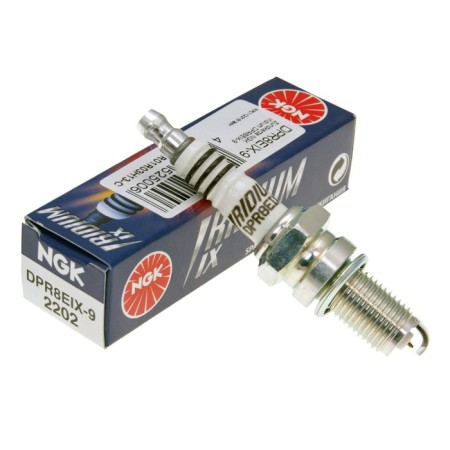 Spark plug NgK DPR8EIX-9, 2202