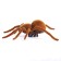 Tarantula bug, works from batteries